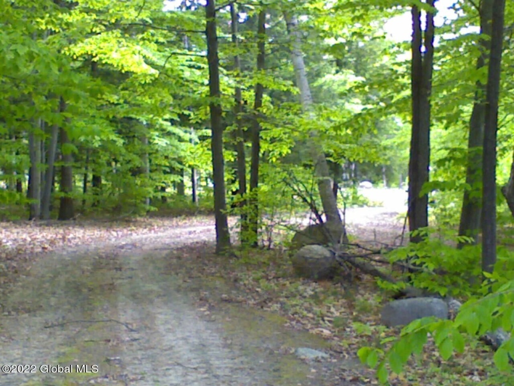 88 Ralph Road, Warren, New York, 9 Bedrooms Bedrooms, 4 Rooms Rooms,2 BathroomsBathrooms,Land,For Sale,Ralph Road,1018