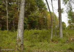 8 Parkhurst, Wilton, New York 12831, ,Land,For Sale,Parkhurst,1028