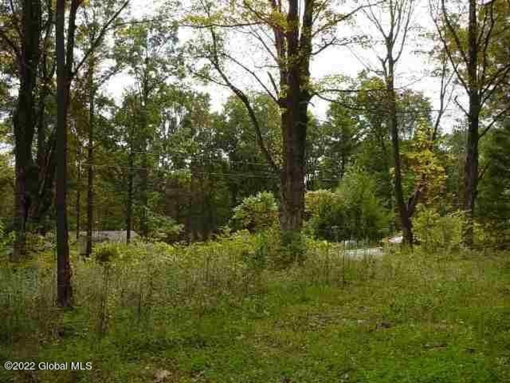 8 Parkhurst, Wilton, New York 12831, ,Land,For Sale,Parkhurst,1028