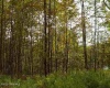 8 Parkhurst, Wilton, New York 12831, ,Land,For Sale,Parkhurst,1028