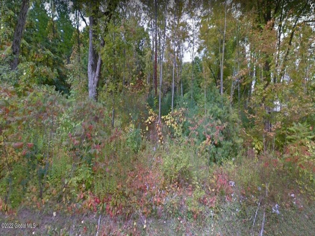 8 Parkhurst, Wilton, New York 12831, ,Land,For Sale,Parkhurst,1028